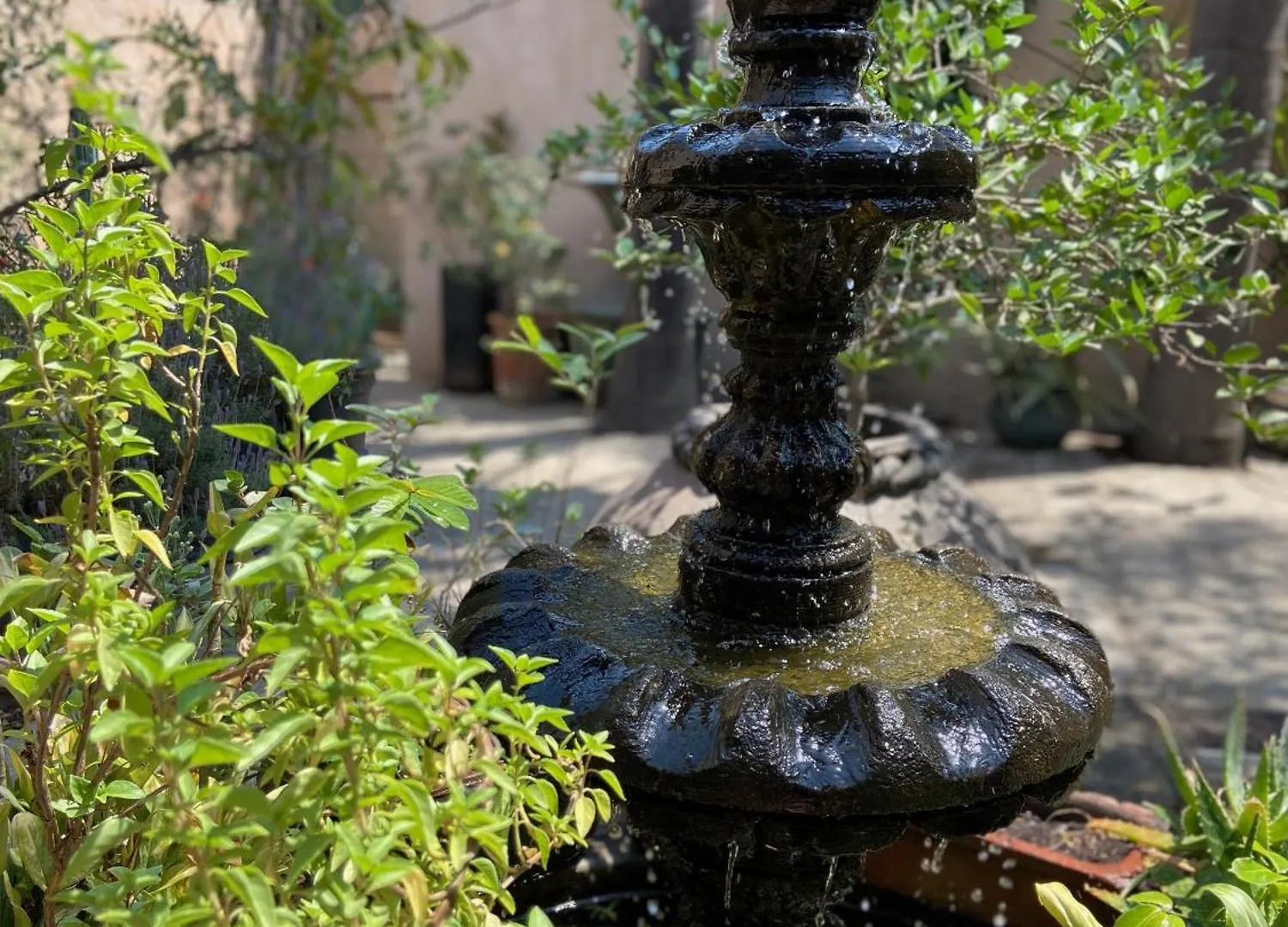 Urban Hacienda Downtown, Tranquil, Spacious, Jacuzzi Гвадалахара 0*,  Мексика